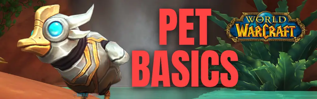 Wow Battle Pet Basics Guide